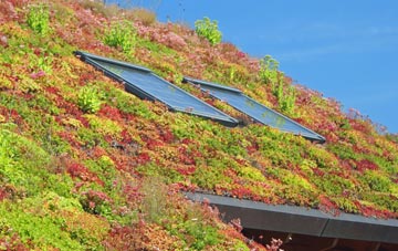 Coalcleugh living roof systems