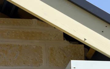 soffit repair Coalcleugh