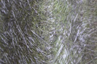 Coalcleugh fibreglass roof work