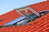 Coalcleugh roof window