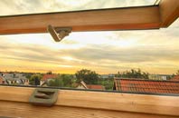 rated Coalcleugh roof window companies